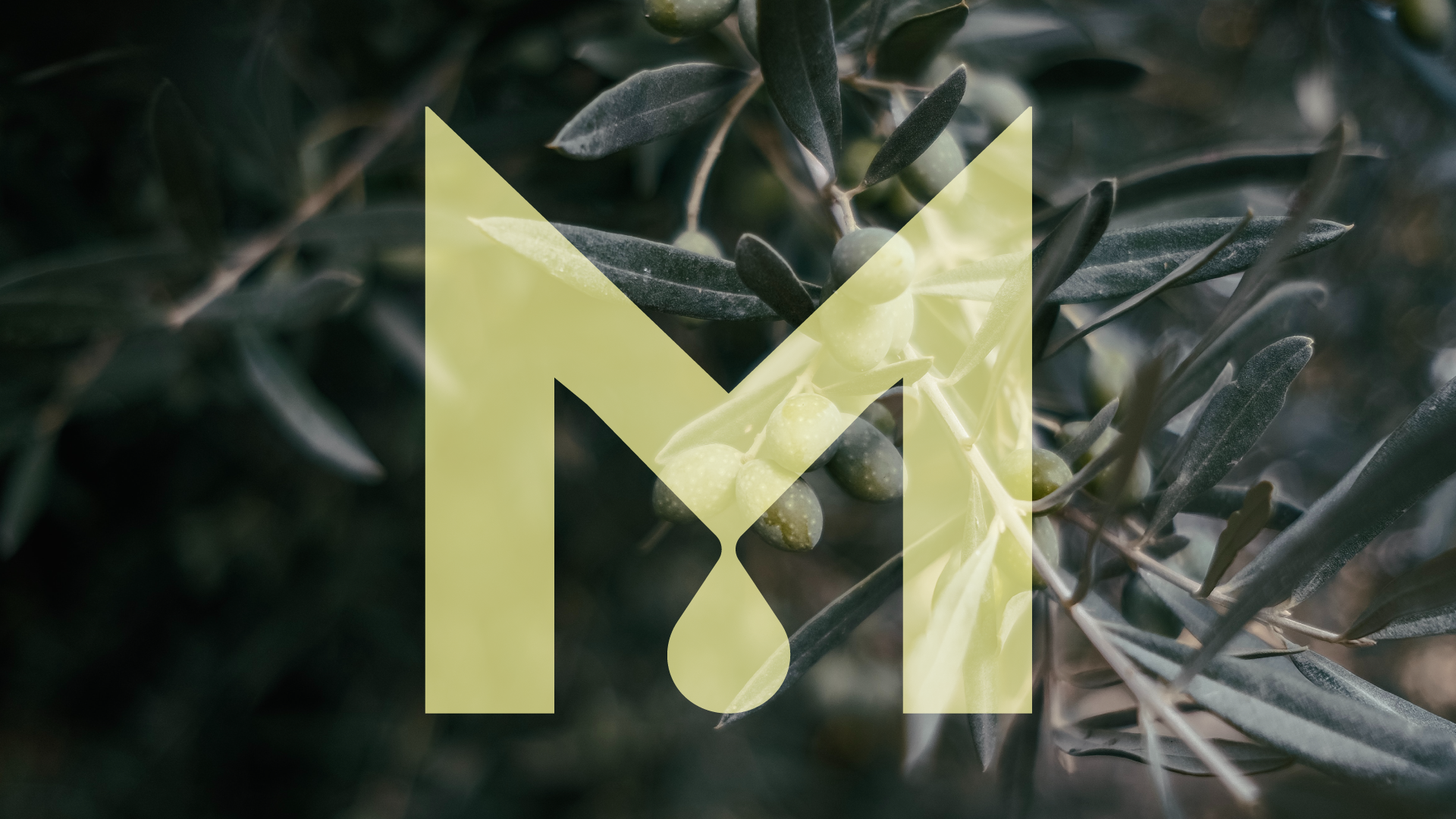 Μπακασέτας Family — Visual Identity, παρουσίαση έργου 5