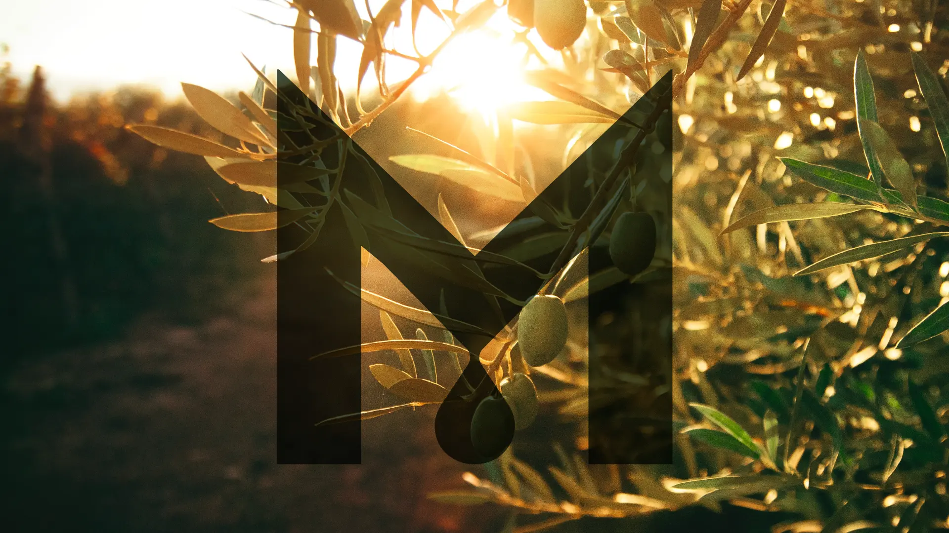 Μπακασέτας Family — Visual Identity, παρουσίαση έργου 6