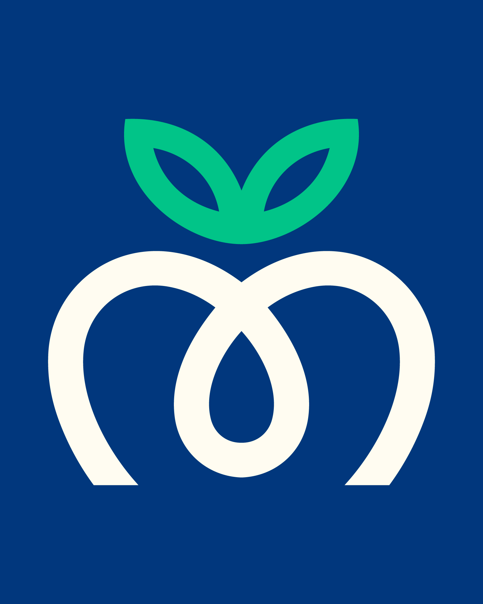 Μαντζιώρος Fruits — Brand Identity (5)