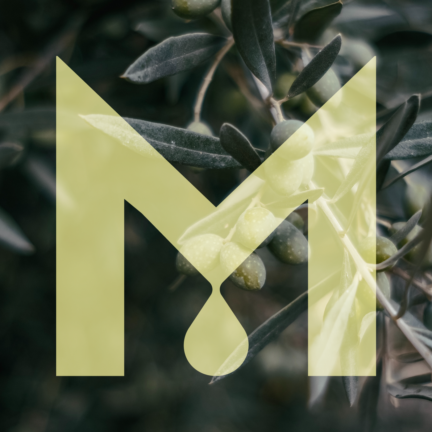 Μπακασέτας Family — Visual Identity, παρουσίαση έργου 12