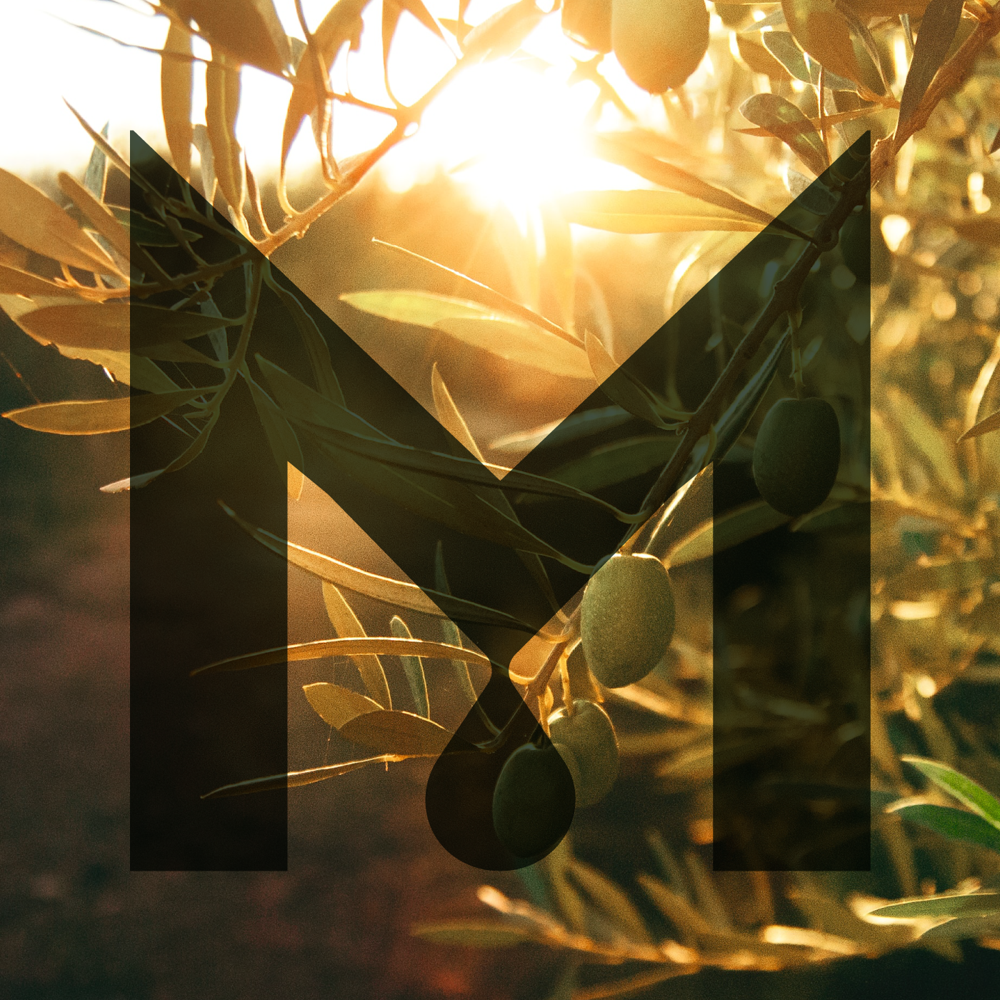 Μπακασέτας Family — Visual Identity, παρουσίαση έργου 13