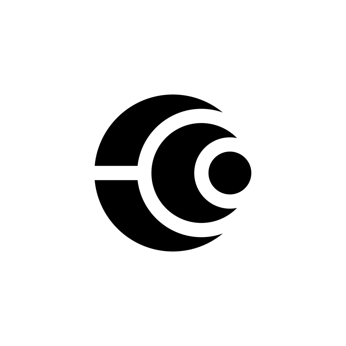 Ecosystema, παρουσίαση έργου 1
