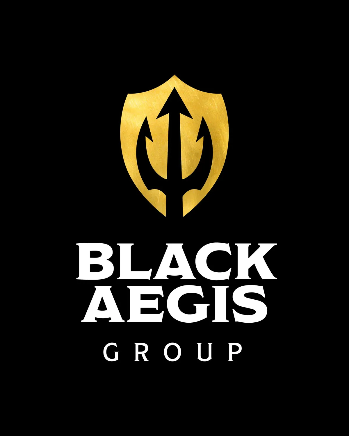 Εξώφυλλο έργου Black Aegis Group, Σχεδιασμός λογοτύπου από τον Άγγελο Κουρτίδη