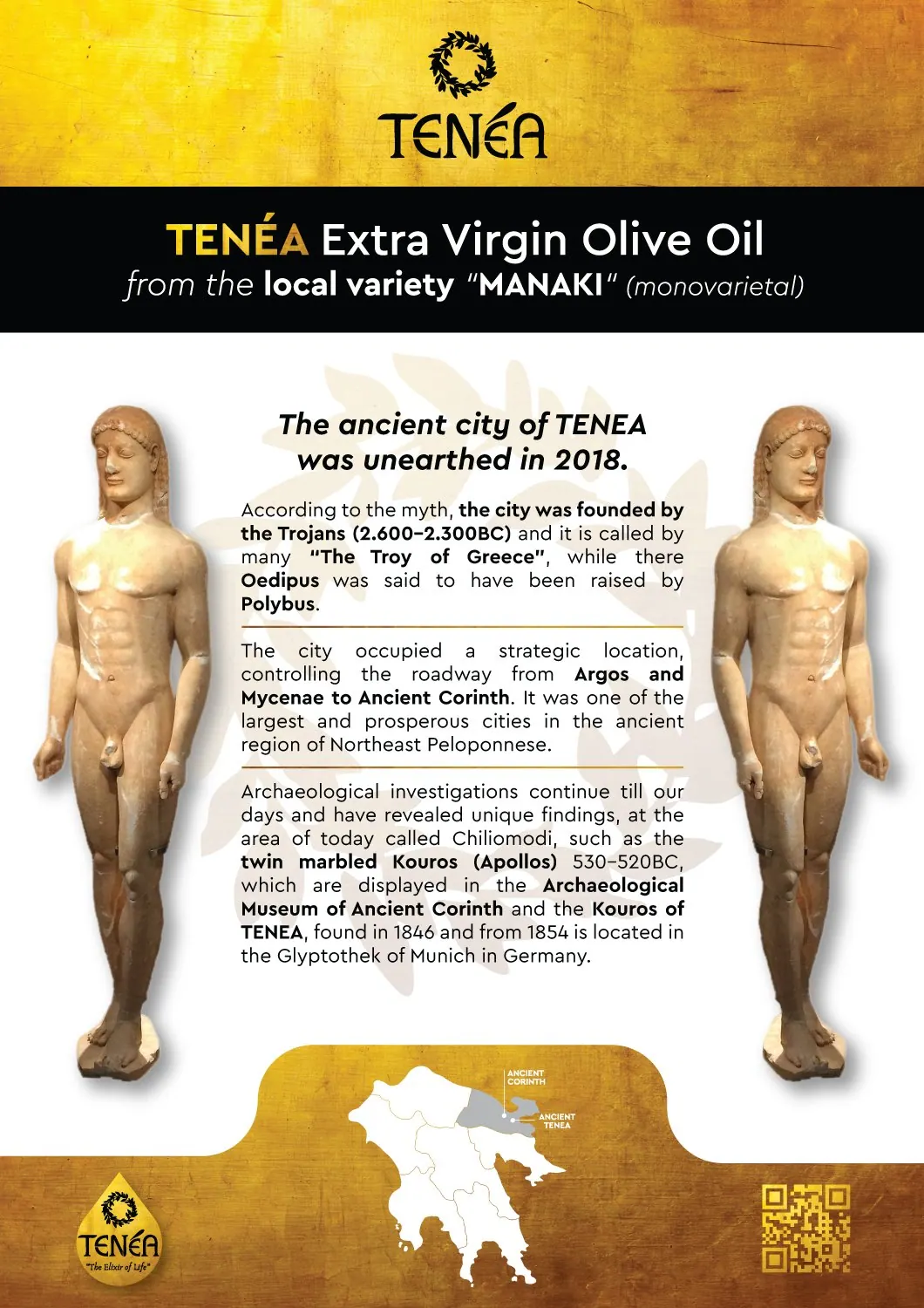 Flyer TENÉA για το ελαιόλαδο από την ποικιλία Μανάκι με τους Κούρους της Τενέας σε χρυσό και λευκό